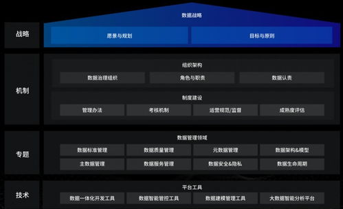 洞見未來，駕馭數據 國內優秀數據治理服務商及軟件開發指南